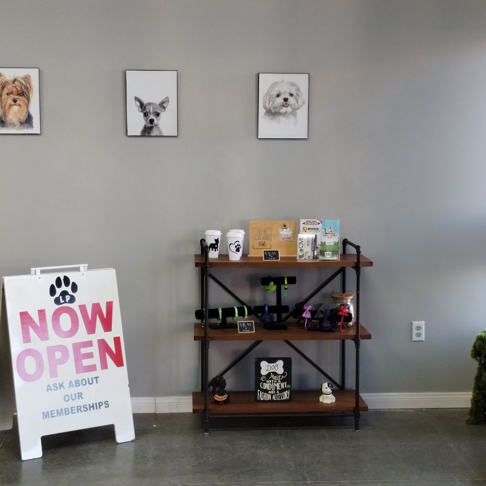 Gem's Pet Spaw - Gem's Pet Spaw at CV Dog Grooming & Academy - Pet Groomers Near Me - Indio, California