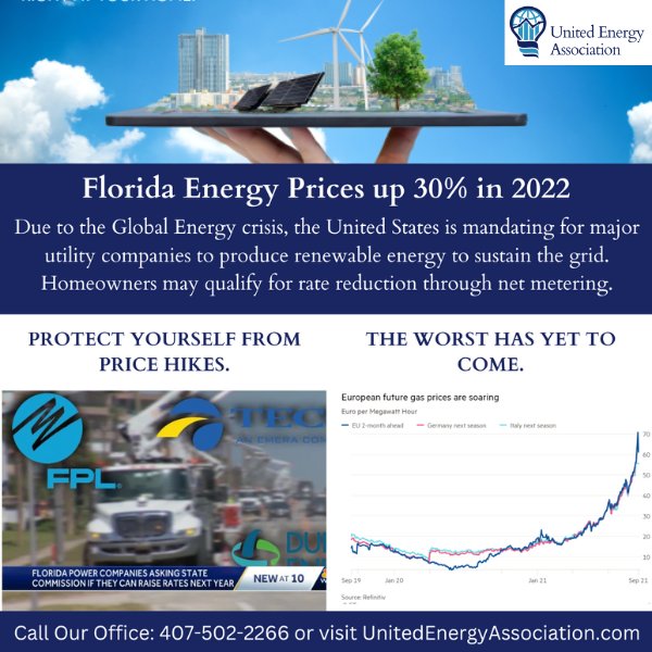 Slide of United Energy Association