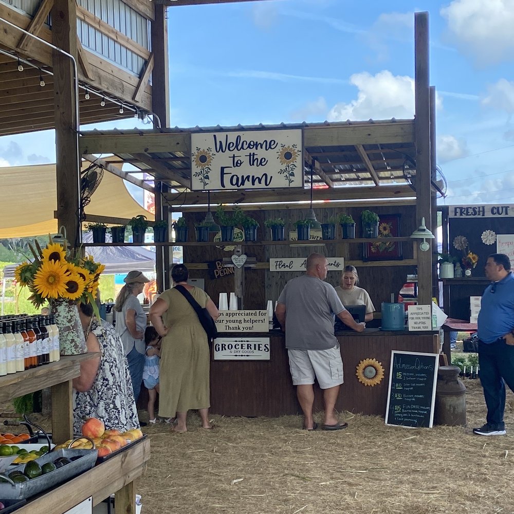 Cannon Farms - Pick Your Own Farms Near Me - Dunnellon, Florida Cannon Farms - Pick Your Own Farms Near Me - Dunnellon, Florida