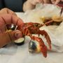 Photo of Crab House
