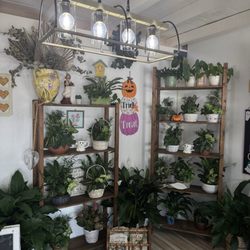 Love Story Florist