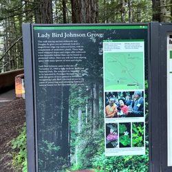 Lady Bird Johnson Grove - Lady Bird Johnson Grove