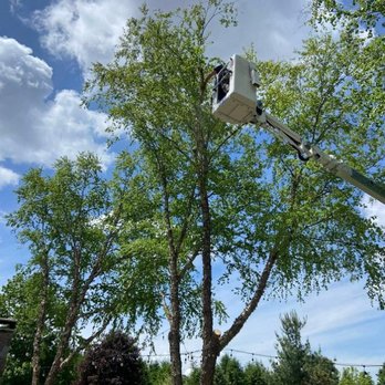 Cutting Edge Tree Service - Tree Services Near Me - Racine, Wisconsin Cutting Edge Tree Service - Tree Services Near Me - Racine, Wisconsin