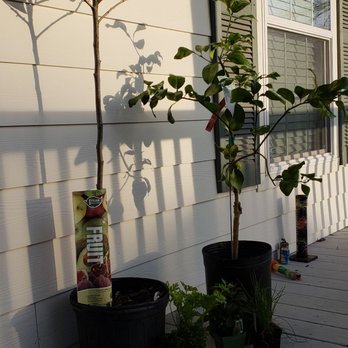Lowe's Home Improvement - My new buys from Lowe's. - Hardware Stores Near Me - New Orleans, Louisiana