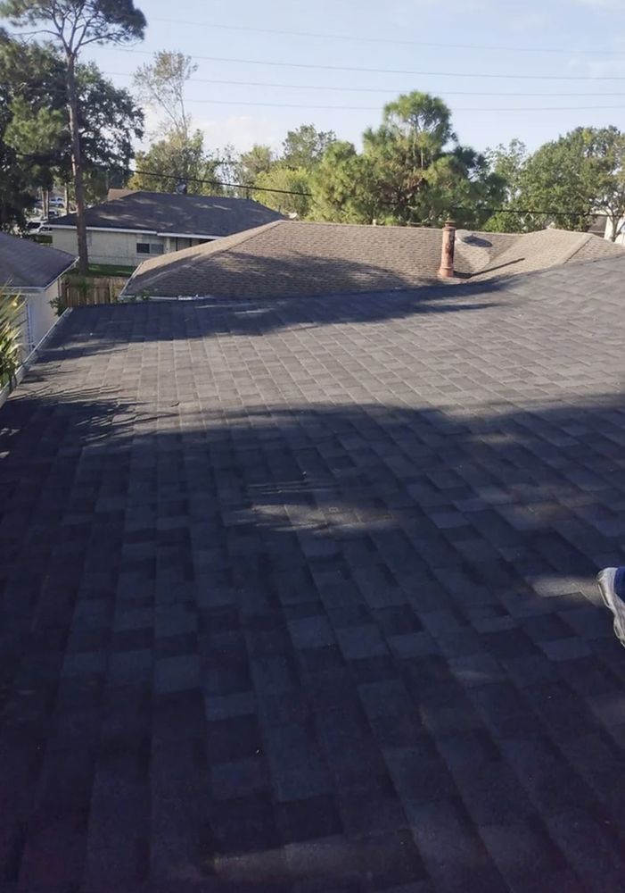 Slide of Lions Gate The Best For Less