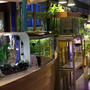 Photo of L'Aquarium du Discus