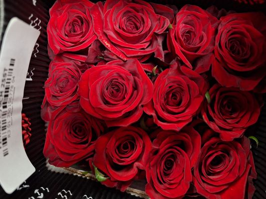 Chicago's Wholesale Florist