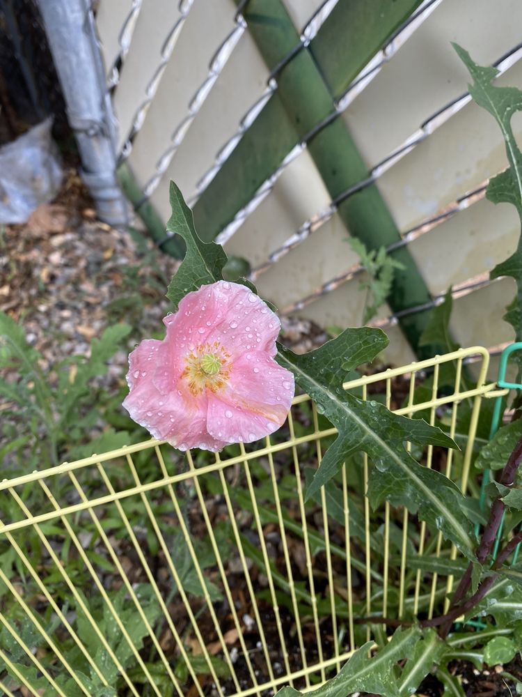 BANCROFT & ASSOCIATES Updated October 2024 16 Photos & 74 Reviews