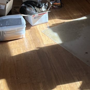 Wee Bit O'heather - just my cat trying to fit into a box - Breakfast & Brunch Near Me - Milton Freewater, Oregon Wee Bit O'heather - just my cat trying to fit into a box - Breakfast & Brunch Near Me - Milton Freewater, Oregon