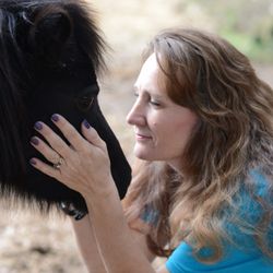 Healing With Horses Ranch
