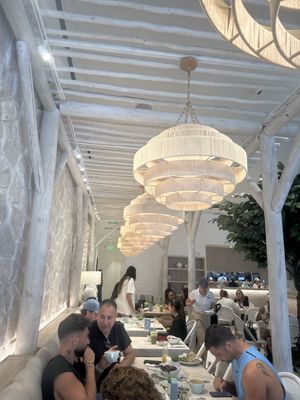 Pura Vida Miami by null