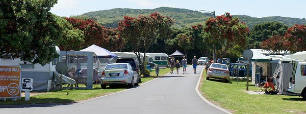 Raglan Holiday Park by null