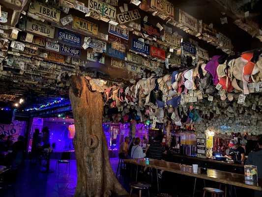 Capt Tony’s Saloon by null