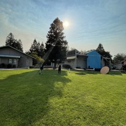 The lawn The lawn