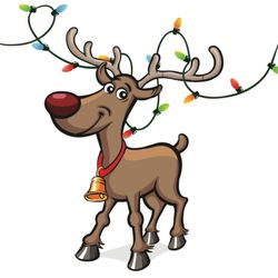 Light Me Up USA - Hayward - Rudy loves to light up Christmas!