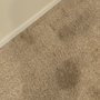 Oxi Fresh Carpet Cleaning