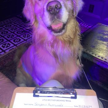 Little Brother Brewing - Best trivia partner (DOG FRIENDLY) - Breweries Near Me - Greensboro, North Carolina