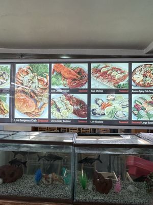 Menu photo 4 Pacific Fish Center & Restaurant Redondo Beach, CA Menu photo 4 Pacific Fish Center & Restaurant Redondo Beach, CA