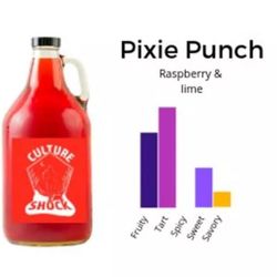 Culture Shock Brew - Pixie Punch