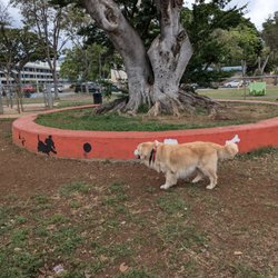 Aala Park