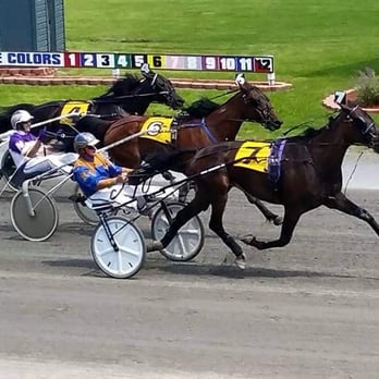 Goshen Historic Track - Harness racing's greatest participate in the annual Hall of Fame race. This year Ron Waples was the winner. - Landmarks & Historical Buildings Near Me - Goshen, New York Goshen Historic Track - Harness racing's greatest participate in the annual Hall of Fame race. This year Ron Waples was the winner. - Landmarks & Historical Buildings Near Me - Goshen, New York