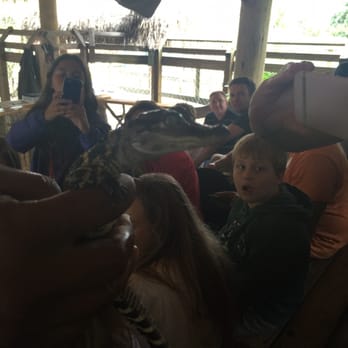 gator park - Boat Tours Near Me - Miami, Florida