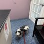 Photo of Coral Ridge Animal Hospital