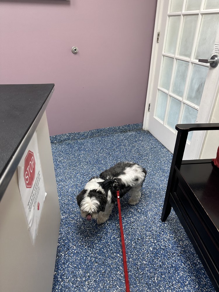 CORAL RIDGE ANIMAL HOSPITAL Updated September 2024 35 Reviews 2801 E Commercial Blvd, Fort