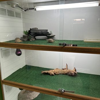 The Pet Shop - Turtles - Local Fish Stores Near Me - San Bernardino, California The Pet Shop - Turtles - Local Fish Stores Near Me - San Bernardino, California