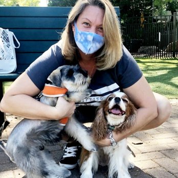 All Paws Allowed - Socializing Max.. - Pet Training Near Me - Palatka, Florida