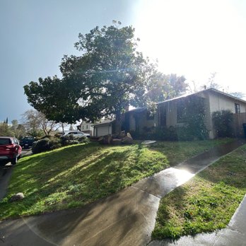 Easy Stumps Tree Services - Tree Services Near Me - Folsom, California