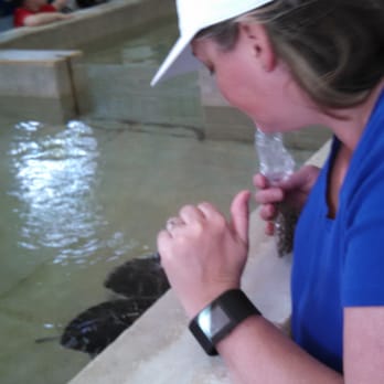 Tortuganja / Turtle Farm - Parks Near Me - Quintana Roo, ROO