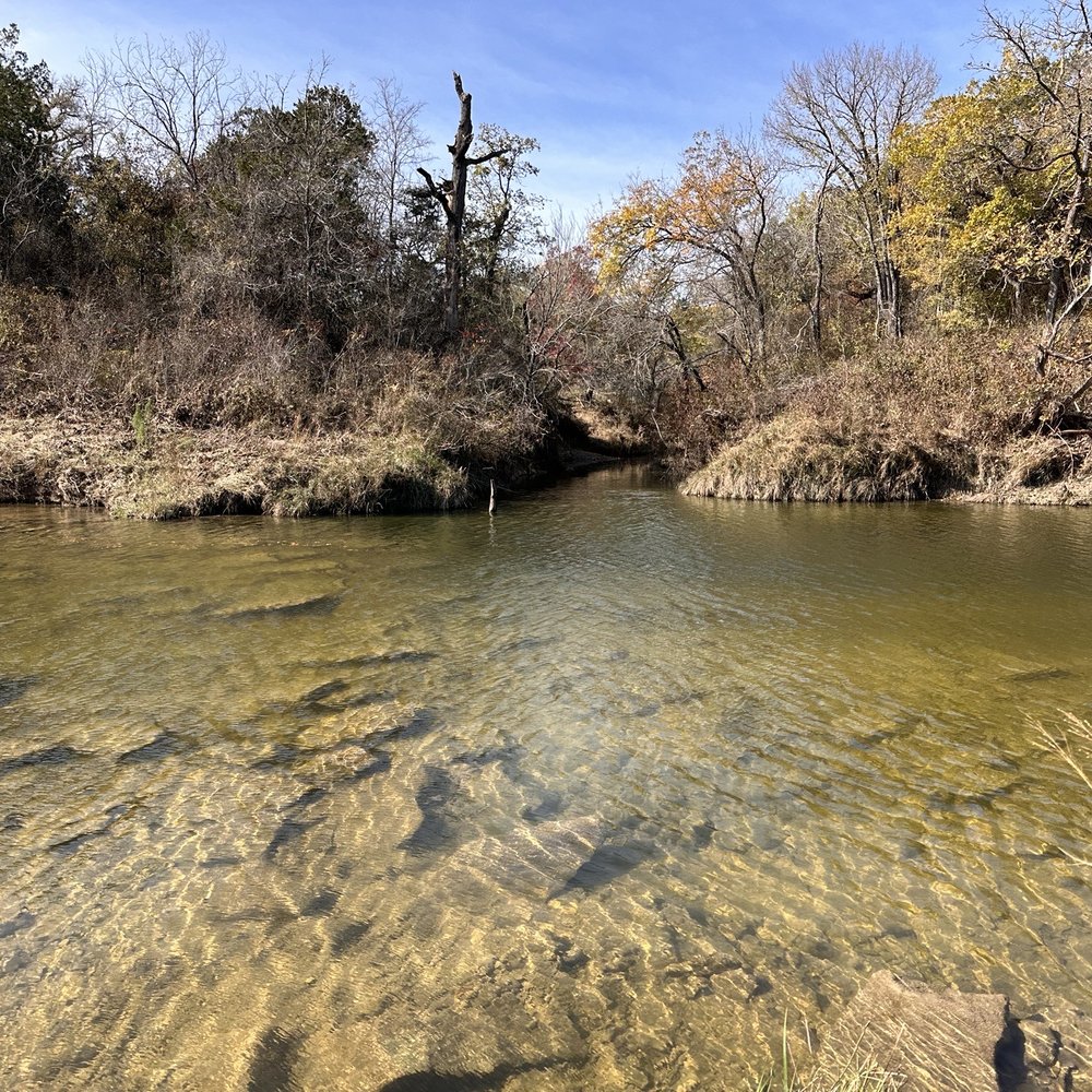 Dinosaur Valley State Park - 11/26/2023 - Parks Near Me - Glen Rose, Texas