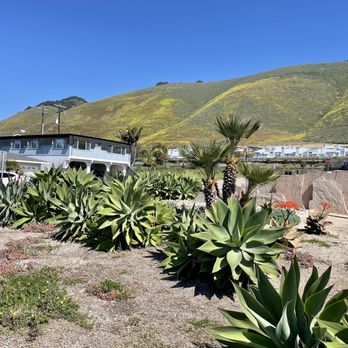Dinosaur Caves Park - Parks Near Me - Pismo Beach, California