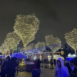 Zoolights