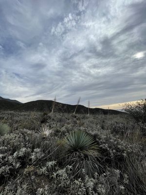 North Etiwanda Preserve by null