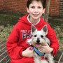 Photo of Your Dog's Grooming Shop