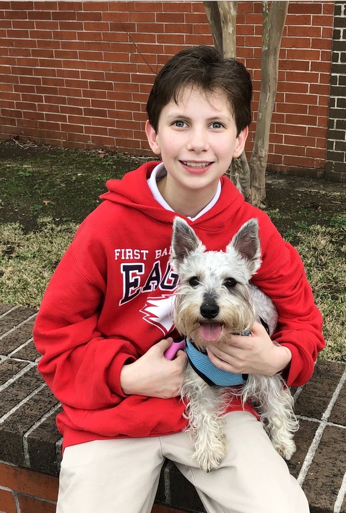 YOUR DOG’S GROOMING SHOP Updated October 2024 12 Photos 1308