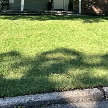 D'Anna Landscaping & Masonry - Center - Landscaping Near Me
