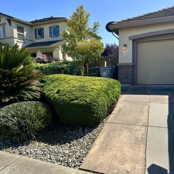 Barriga Landscaping - Landscaping Near Me