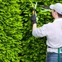 Photo of Werner & Sons Landscaping