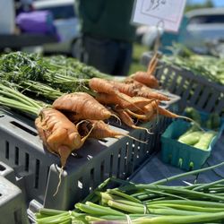 Countryside Farmers' Market At Howe Meadow