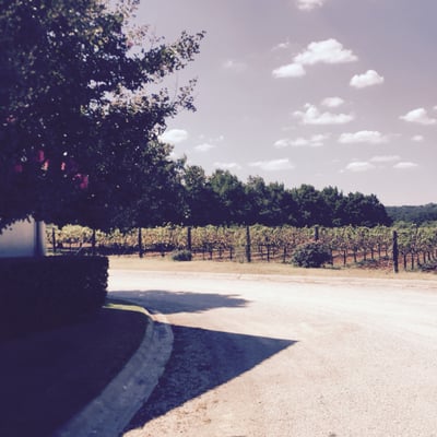 Fall Creek Vineyards - Tow by null