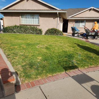 Joe Iniguez Landscape Experts - Before: More bricks, more weeds, more boring. - Artificial Turf Near Me