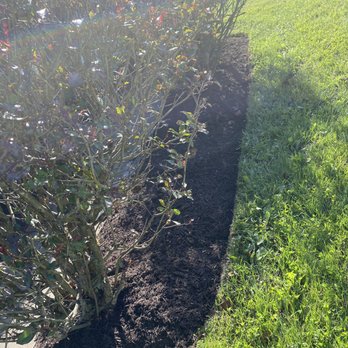 Gomez lawn care services - a shrub in the foreground - Lawn Services Near Me Gomez lawn care services - a shrub in the foreground - Lawn Services Near Me