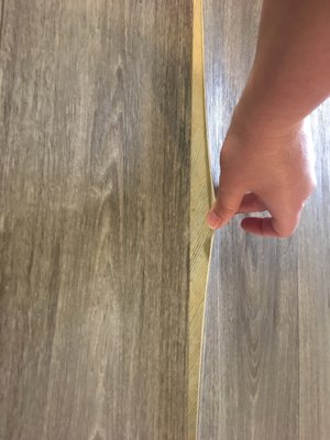 The Huntington by null