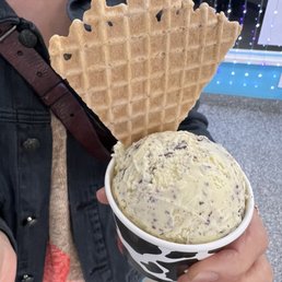 Mint Chocolate Chip Ice Cream