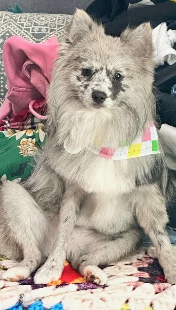 PASSAGE EAST KENNELS Updated October 2024 21 Photos & 15 Reviews