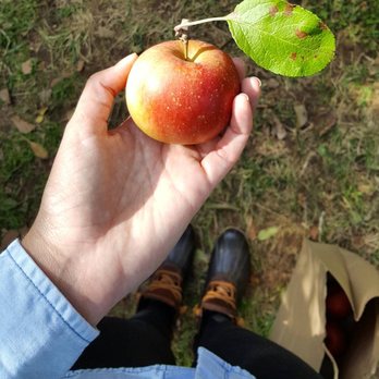 Solebury Orchards - Apple Picking - Fruits & Veggies Near Me - New Hope, Pennsylvania