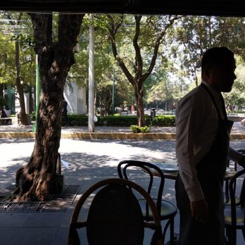 Ivoire - Gorgeous tables with view of the park across the street - French Near Me - Ciudad de Mexico, DIF Ivoire - Gorgeous tables with view of the park across the street - French Near Me - Ciudad de Mexico, DIF